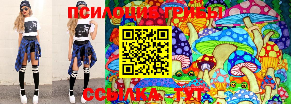 купить  цена  Галлюциногенные грибы Psilocybine cubensis  Галлюциногенные грибы Psilocybe  Вход с VPN  Ялуторовск 